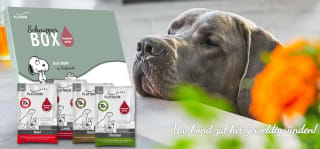 Gratis Proefpakket Platinum Hondenvoer