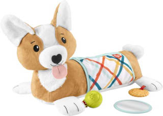 Fisher-Price 3-in-1 Puppy Tummy Wedge Buikligtrainer voor €16,69 bij Bol.com