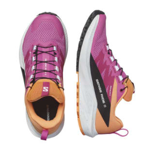 Zapatillas de trail running de Mujer Salomon Sense Ride 5 GTX por 74.99€