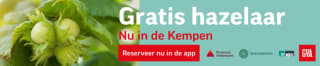 Gratis hazelaar boom voor inwoners van de Kempen