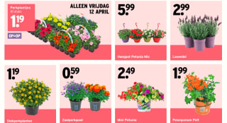 Perkplantjes 10 voor €1,19 bij Gamma tijdens plantjesmarkt