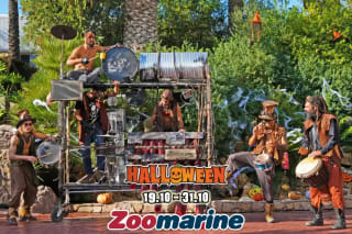 Zoomarine Halloween hotel 4* estrellas + entrada al parque por solo 45€