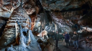 Tickets voor Grotten van Han (Ardennen België) vanaf €23,50