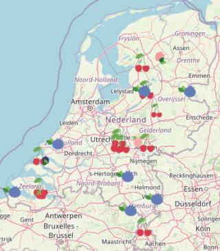De Fruitigste Kleinfruitdagen met activiteiten kinderen en fruit plukken op 5,6,12,13,19 en 20 juli