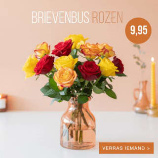 Brievenbus rozen: tijdelijk voor €9.95 bij Bloompost