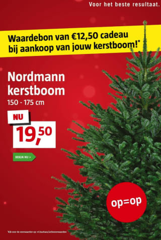 Kerstboom bij Bauhaus voor €19,50 met €12,50 waardebon voor Bauhaus erbij