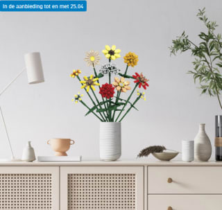 Playland boeket bouwset - Rozen en 2 boeketten voor €14,99 bij de Aldi