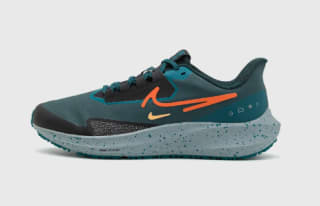 Zapatillas running Nike PEGASUS 39 SHIELD por 62,05€