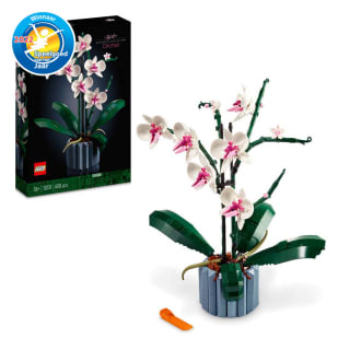 LEGO Icons Botanical Collection Orchidee 10311 voor €32,50 bij Intertoys