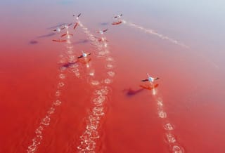 Vuelos ida y vuelta desde 22€ descubrelos