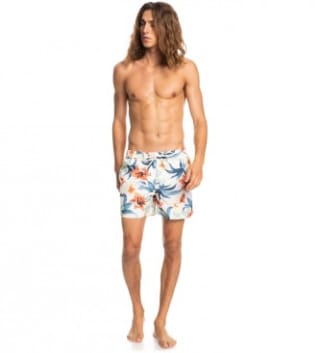 Bañador Quiksilver Everyday Garden Path Volley 15 por 12.65€