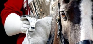 Primavera en Europa. Vuelos muy baratos desde 29€.