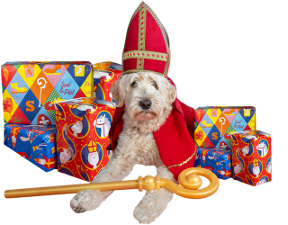 Gratis lekkers in het voerbakje van je huisdier bij Maxizoo