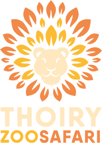 Profitez des billets pour Safari de Thoiry à partir de 30€