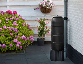 Gratis regenton/insectenhotel aan te vragen in Alkmaar