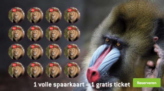 Sparen voor gratis ARTIS tickets bij Dekamarkt