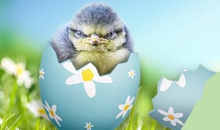 20% korting op je gehele bestelling bij Vivara