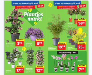 Plantjesmarkt bij de Lidl