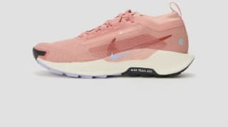 Zapatillas para Mujer Nike REACTX PEGASUS 5 GTX por 77€