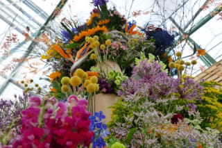 Kinderen t/m 12 jaar gratis mee naar Floriade