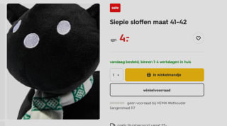Siepie sloffen maat 41-42 voor €4 bij de Hema