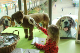 Gratis Open Dag Dierenbescherming op 1 en 2 april