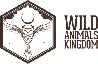 Regalo Lámina por suscribirnos a la Newsletter.