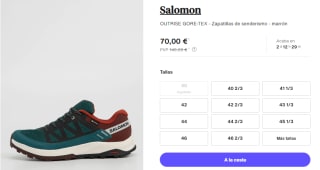 Zapatillas de Trekking para Hombre Salomon OUTRISE GTX por 70€
