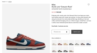 Nike Dunk Low Retro Canyon Rust sneakers voor €55 bij Nakedcph