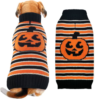 Jersey para mascotas de Halloween por 14,92€