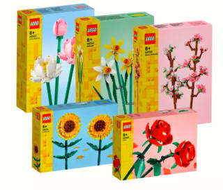 LEGO® bloemen collectie Valentijns bundel voor €49,97 bij Goodbricks