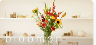25% korting op de eerste 3 boeketten van bloomon + een vaas cadeau via de KPN