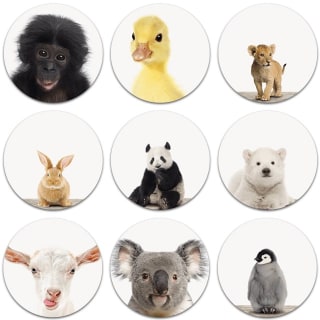 Foto op wandcirkels met 72% korting dmv code bij FotoCadeau