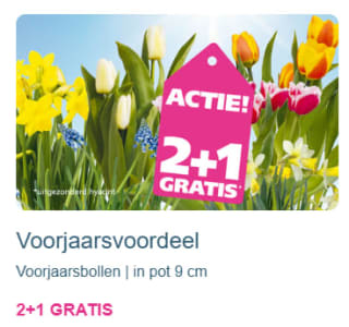 2+1 gratis op Voorjaarsbollen bij Ranzijn