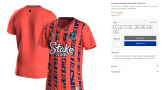 Camiseta Everton las tres equipaciones 23/24 por 24€ la unidad