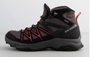 Botas de montaña de hombre Daintree Mid GTX Salomon por 74€