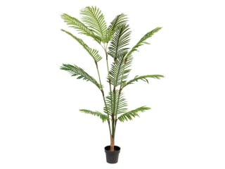 LIVARNO home Kunstplant palm, Hoogte: 190 cm voor €27,99 in de Lidl webshop