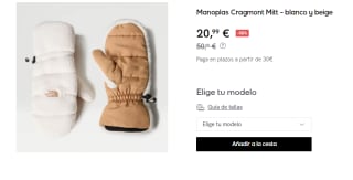 Manoplas The North Face Cragmont Mitt por 20.99€