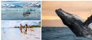 Crucero con el Queen Elizabeth (con vuelos) por Alaska