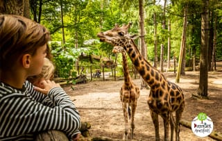 Entreeticket Dierenpark Amersfoort