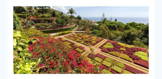 Madeira 6 dias con excursiones y vuelos desde 608€.