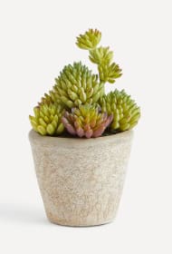 Planta artificial Cactus en maceta de cemento por 2,99€