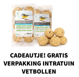 Gratis verpakking vetbollen bij Intratuin via de app