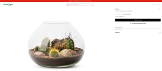 Naturalys Terrario Naturalys La Paz 3 plantas por 20,45€