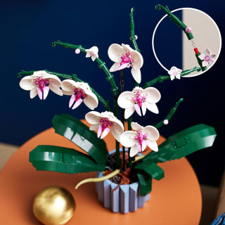 LEGO Icons Orchidee voor €29,40 bij Amazon