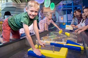 4 tickets voor Hidrodoe voor €12 bij Vakantieveilingen