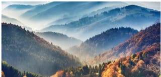 Viaja a la Selva Negra desde 27€ ida/vuelta