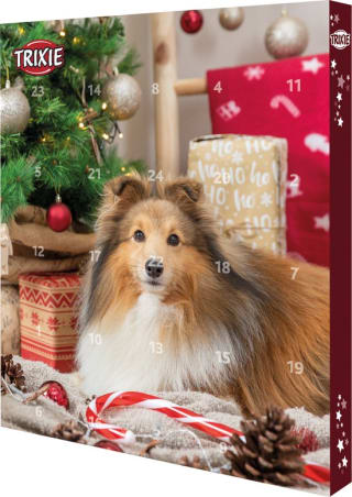 Trixie Adventskalender Hond 2023 voor €1,99 bij Bol.com