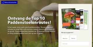 Gratis boekje Top 10 Magische Paddestoelen via Natuurmonumenten
