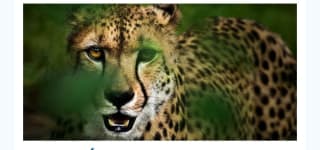 Sudáfrica Últimas Plazas desde 1999€.